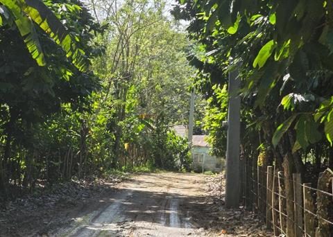 Disappearance of girl Brianna Genao: advances in the investigation