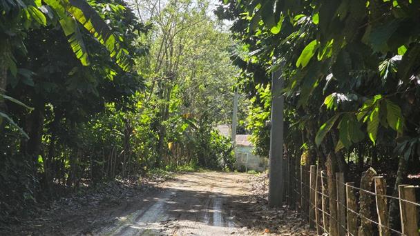 Disappearance of girl Brianna Genao: advances in the investigation