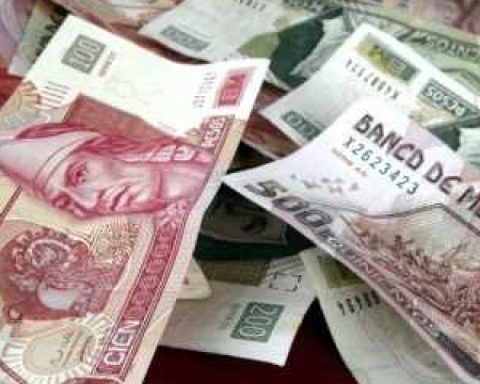 Do you organize batches? This is what the tax authority says about the collection of taxes and fines