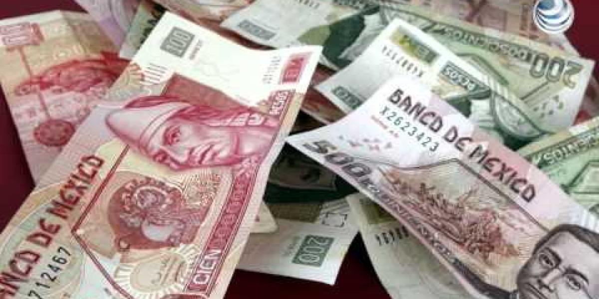 Do you organize batches? This is what the tax authority says about the collection of taxes and fines