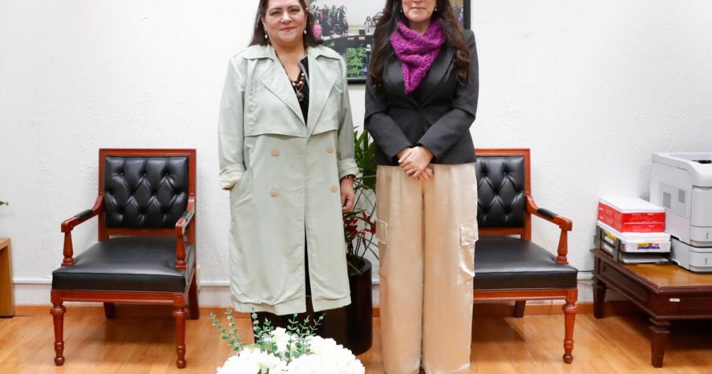 ''Electoral Reform should not come out of the agandalle, nor be based on austerity,' says Kenia López