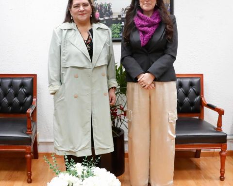 ''Electoral Reform should not come out of the agandalle, nor be based on austerity,' says Kenia López