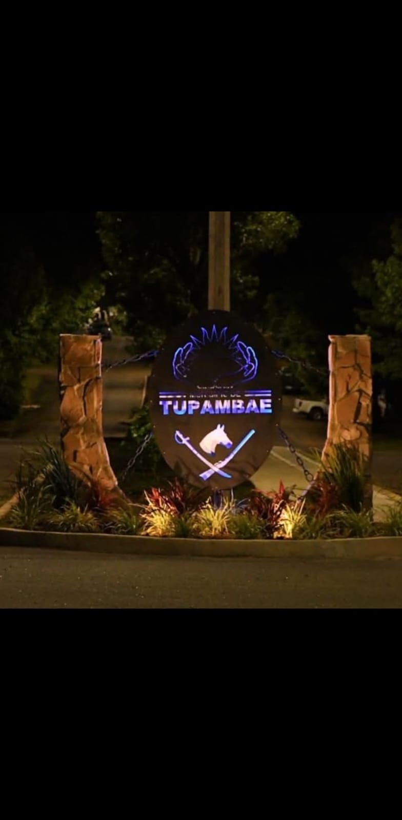 Environmental problem