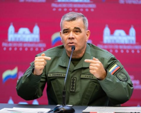 FANB supports Delcy Rodríguez and assures that it will guarantee governability