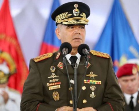 Fanb recognizes Delcy Rodríguez as its commander in chief