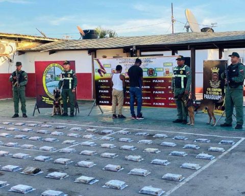 Fanb seized 380 kilograms of cocaine hydrochloride in Zulia