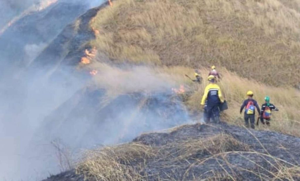Fire reactivation controlled in Henri Pittier National Park