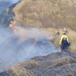 Fire reactivation controlled in Henri Pittier National Park