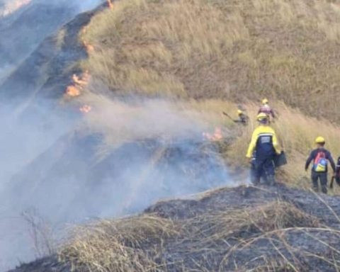 Fire reactivation controlled in Henri Pittier National Park