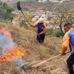 Fire under control in Henri Pittier National Park