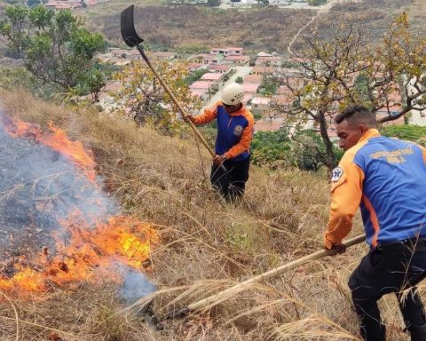 Fire under control in Henri Pittier National Park