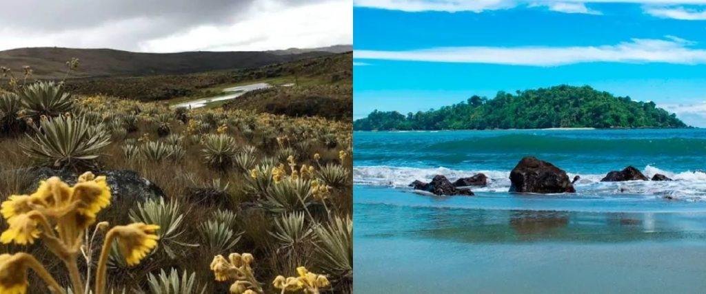 Parques Nacionales Naturales en Colombia