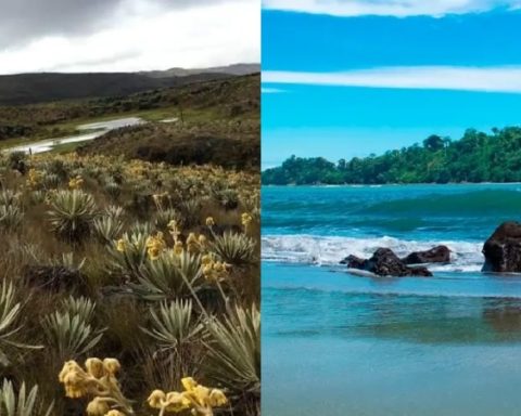 Parques Nacionales Naturales en Colombia