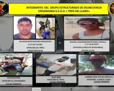 Hit to the Llano Train: alias Mandarria, second in command of the organization, fell in a confrontation in Guárico