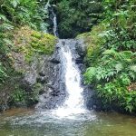 Vacaciones de enero: estos son los destinos más elegidos para viajar en Colombia