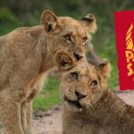 How much does it cost to enter the Safari Park and how can you get there?