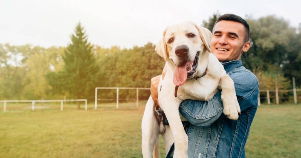 How to make a dog happy? 10 effective ways