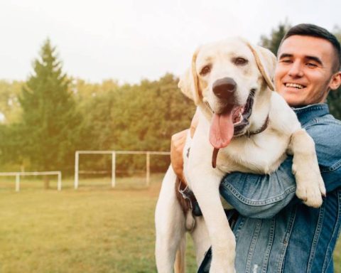 How to make a dog happy? 10 effective ways