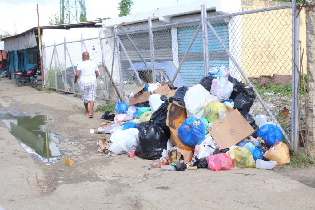 Improvised landfills worry residents of Villa Mella