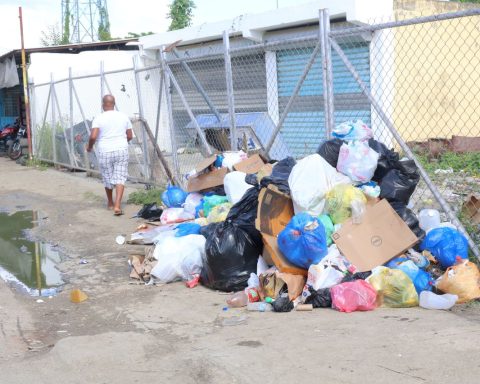 Improvised landfills worry residents of Villa Mella