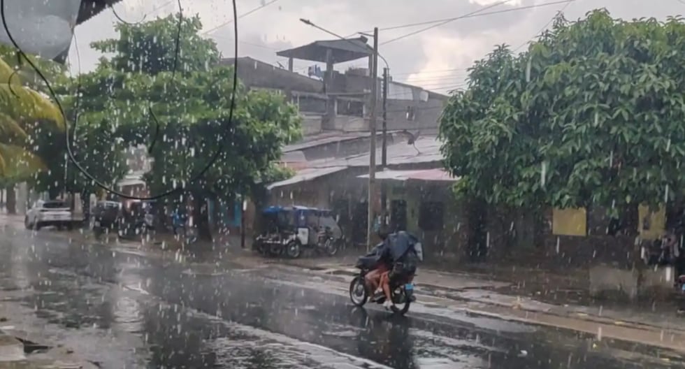 Indeci issues recommendations for heavy rains expected in the jungle