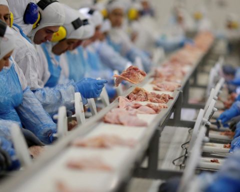 Industry has maintained stability since April 2025, says IBGE