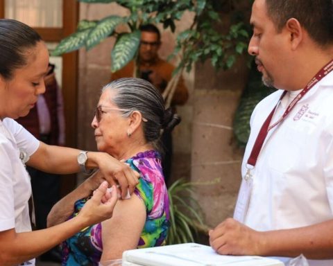 Influenza: Mexico confirms 2,300 cases and 7 deaths; specialists urge to continue vaccination