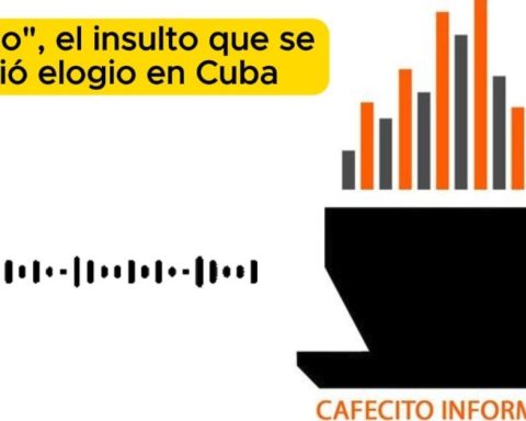 Informative coffee for Tuesday, January 20, 2026