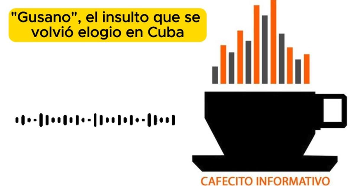 Informative coffee for Tuesday, January 20, 2026