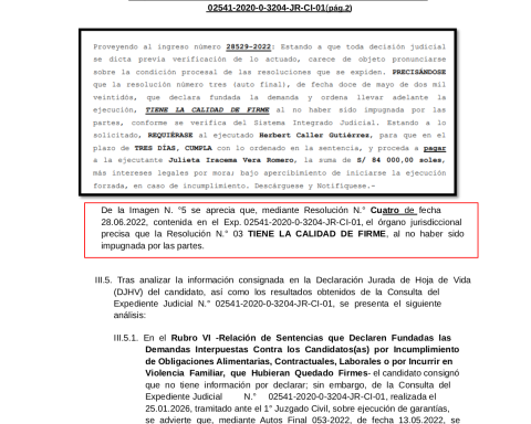 JEE report warns that presidential candidate of the Patriotic Party of Peru would have declared false information