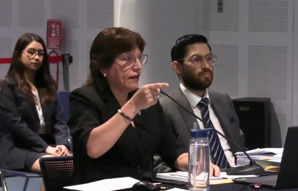 JNJ evaluates dismissal of Delia Espinoza as supreme prosecutor