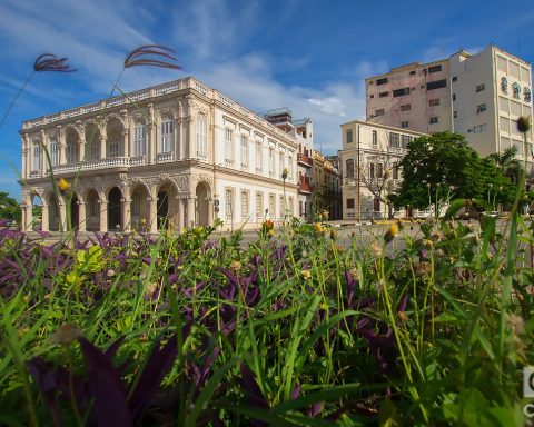 Jazz Plaza 2026 at the National Music Museum