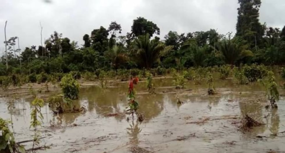 Junín: 18 districts in a state of emergency and with little budget for disaster response