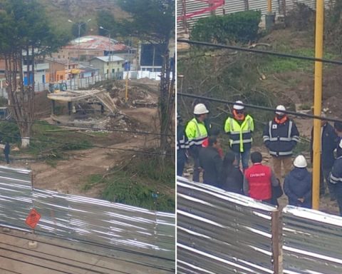 La Oroya: Comptroller's Office intervenes due to tree felling in Miguel Grau Park