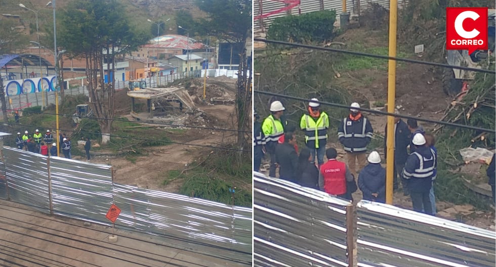 La Oroya: Comptroller's Office intervenes due to tree felling in Miguel Grau Park