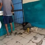 Una mujer desmayada por hambre en La Habana, en 2024