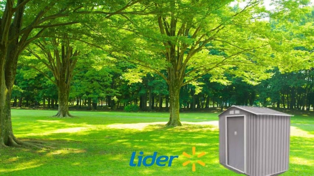 Líder finishes garden cellar ideal to beautify it this 2026