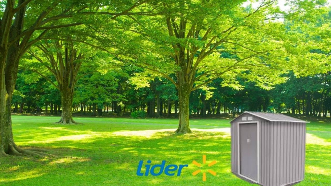 Líder finishes garden cellar ideal to beautify it this 2026