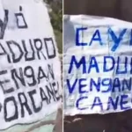 Ferrer, Cuba, Maduro, Díaz-Canel