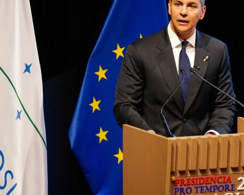 Mercosur is open to agreements with other blocs and countries, says Peña