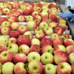 Mexico activates antidumping investigation on US apples