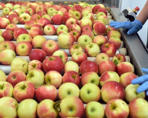 Mexico activates antidumping investigation on US apples