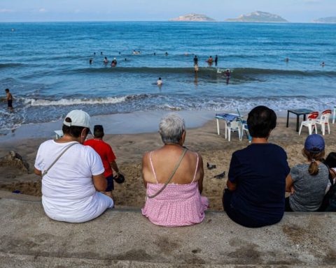 Mexico starts 2026 with a roadmap to manage its seas