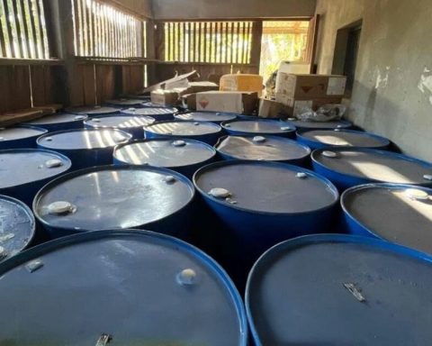 Navy dismantles drug laboratory in Guerrero; They secure more than 12 tons of chemical substances