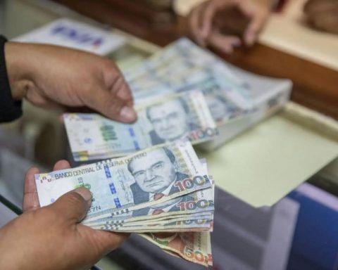 ONP pensions increase in 2026: know the February payment schedule