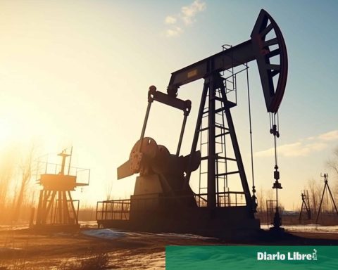 OPEC+ evaluates its crude oil supply for March