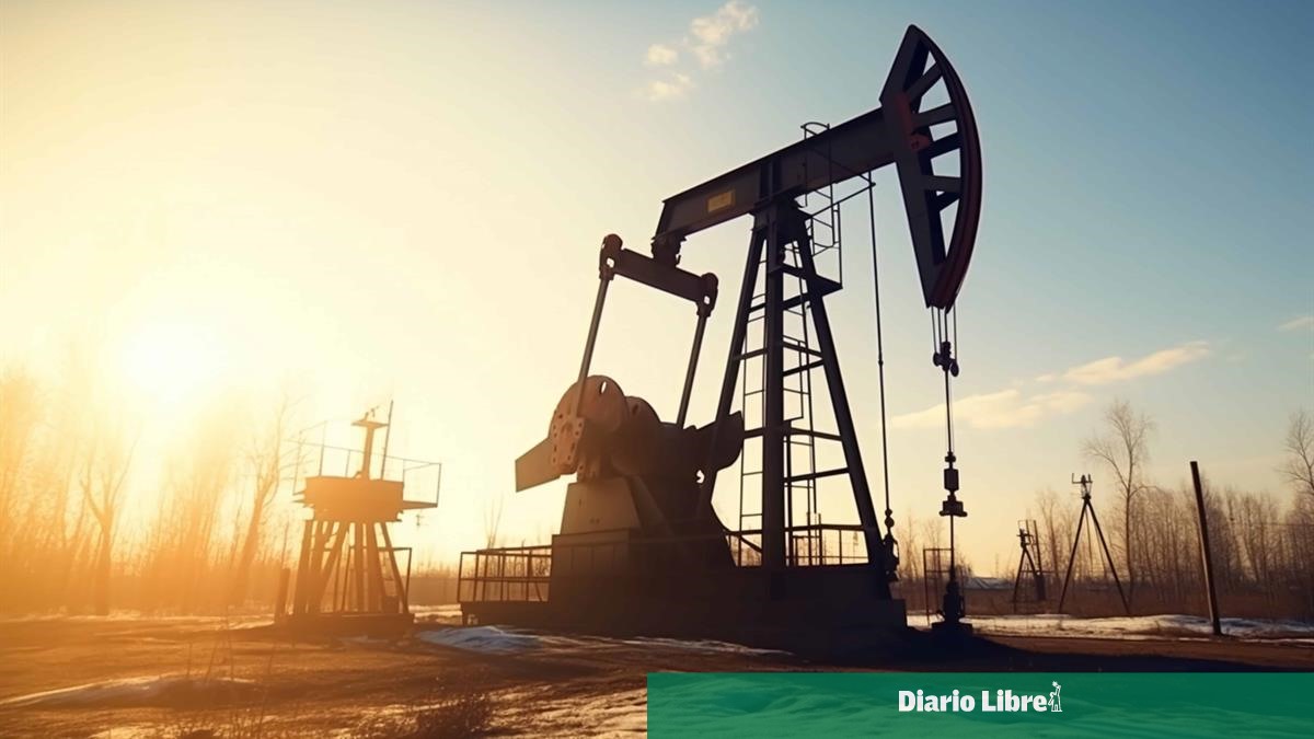 OPEC+ evaluates its crude oil supply for March