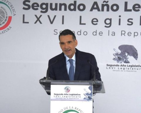 PVEM Senator responds to Morena's “tough”: “In 2027 we are going to go alone where we lead polls”