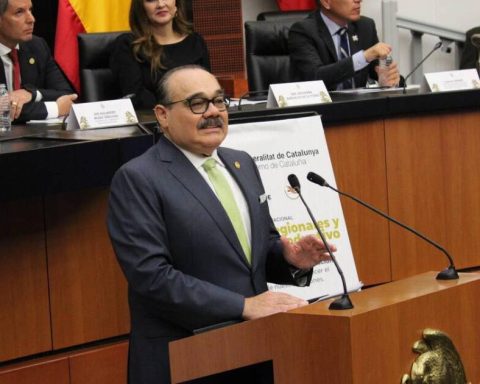 PVEM senators reiterate that they will not support an electoral reform that reduces multi-membership