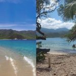 Playa Cinto: una joya escondida del Parque Nacional Natural Tayrona
